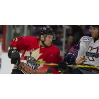 Brampton Beast Battle the Kalamazoo Wings