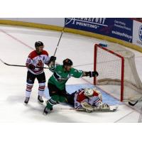 Louisiana IceGators Celebrate a Goal against the Fayetteville FireAntz