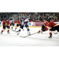 Atlanta Gladiators Defend against the South Carolina Stingrays