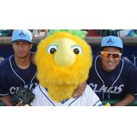 Lakewood BlueClaws Players and Mascot