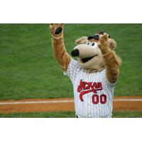 New Jersey Jackals Mascot