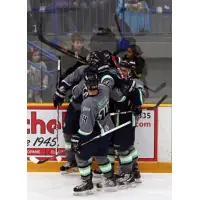 Danbury Titans Celebrate a Goal