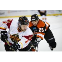 Left Wing Reed Seckel with the Indy Fuel