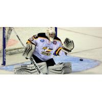 Colorado Eagles Goaltender Eric Levine