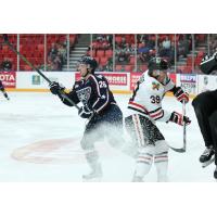 Tri-City Americans Battle the Portland Winterhawks