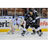 Manchester Monarchs Forward Zac Larraza