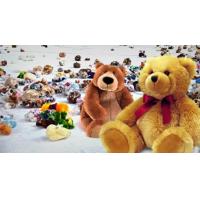 Ontario Reign Teddy Bear Toss