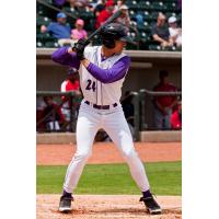 Winston-Salem Dash Outfielder Trayce Thompson
