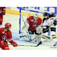 Allen Americans Battle the Colorado Eagles
