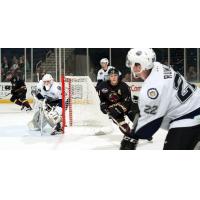 Atlanta Gladiators Keep an Eye on the Evansville IceMen