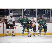 Chicago Wolves vs. the Texas Stars
