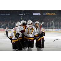 Chicago Wolves Celebrate a Goal vs. the Texas Stars