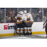 Chicago Wolves Celebrate a Goal against the Boards vs. the Texas Stars