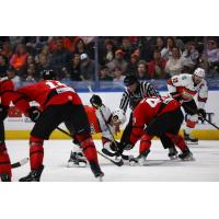Rapid City Rush battle the Kansas City Mavericks