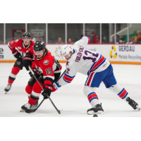 Belleville Senators' Jamieson Rees battles Rochester Americans' Riley Fiddler-Schultz