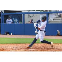 Tampa Tarpons at the plate