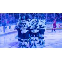 Wichita Thunder gather following a goal