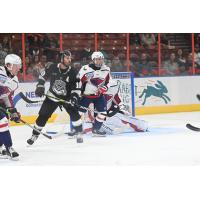 Greenville Swamp Rabbits forward Brent Pedersen vs. the South Carolina Stingrays