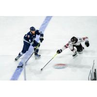 Worcester Railers defenseman Mason Klee readies a pass vs. the South Carolina Stingrays