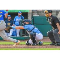 Charleston RiverDogs catcher Nathan Flewelling