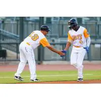 Derlin Figueroa of the Columbia Fireflies rounds the bases