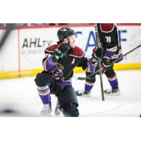 Tucson Roadrunners alternate captain Travis Barron