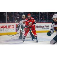 Grand Rapids Griffins right wing Austin Watson