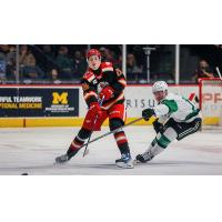 Grand Rapids Griffins defenseman Anton Johansson