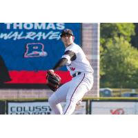 Washington Wild Things pitcher Jordan DiValerio