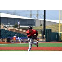 Washington Wild Things pitcher Jordan DiValerio