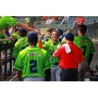 Osceola  Cougars exchange congratulations in the dugout