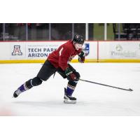 Tucson Roadrunners forward Owen Allard