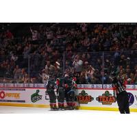 Macon Mayhem celebrate a goal in front of a big crowd