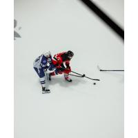 Syracuse Crunch left wing Conor Sheary (left) vs. the Utica Comets