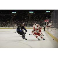 Grand Rapids Griffins vs. the Cleveland Monsters