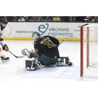Iowa Heartlanders goaltender Kyle McClellan
