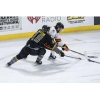Iowa Heartlanders defenseman Andrew McLean