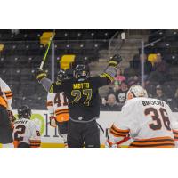 Iowa Heartlanders forward Ryan Miotto