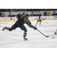 Iowa Heartlanders defenseman Andrew McLean