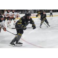 Iowa Heartlanders forward Keltie Jeri-Leon