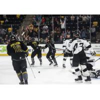 Iowa Heartlanders celebrate a goal