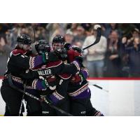 Tucson Roadrunners celebration
