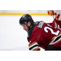 Tucson Roadrunners left wing Travis Barron