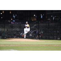 Columbia Fireflies pitcher Elvis Novas