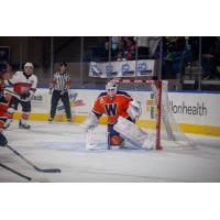 Goaltender Tristan Lennox with the Worcester Railers