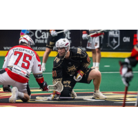 Albany FireWolves defenseman Joe Nardella