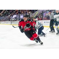 Adirondack Thunder's Shaw Boomhower in action