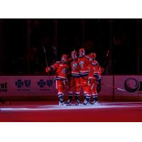 Grand Rapids Griffins on game night