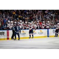 Norfolk Admirals' Denis Smirnov and the South Carolina Stingrays on game night