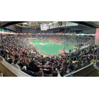 A big crowd watches the Albany Firewolves